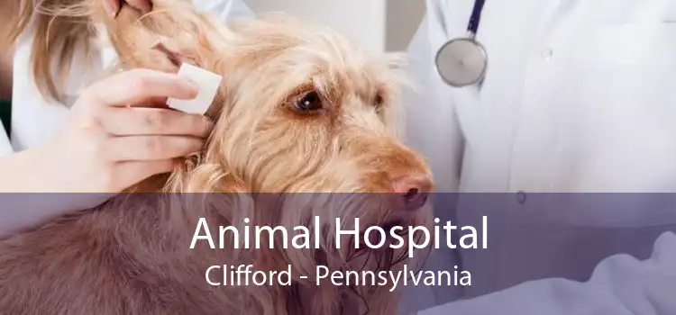 Animal Hospital Clifford - Pennsylvania