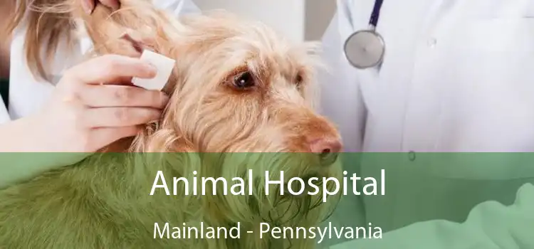 Animal Hospital Mainland - Pennsylvania