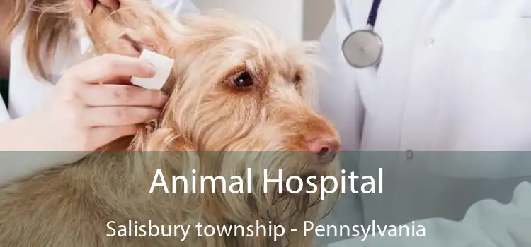 Animal Hospital Salisbury township - Pennsylvania