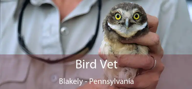 Bird Vet Blakely - Pennsylvania