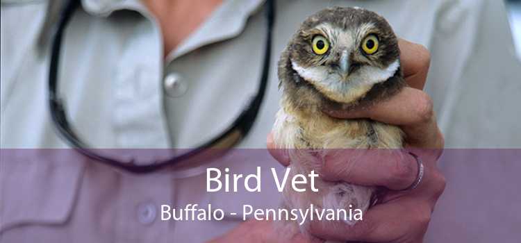 bird-vet-buffalo-emergency-exotic-avian-vet-near-me