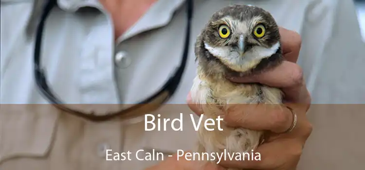 Bird Vet East Caln - Pennsylvania