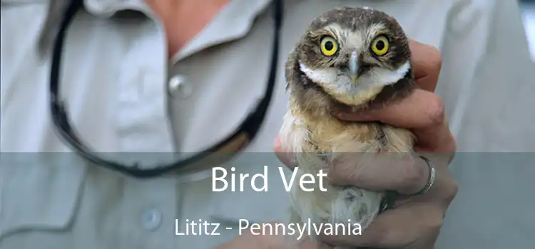 Bird Vet Lititz - Pennsylvania