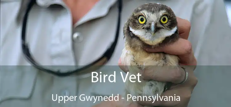 Bird Vet Upper Gwynedd - Pennsylvania