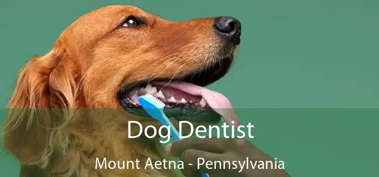 Dog Dentist Mount Aetna - Pennsylvania