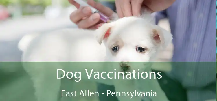 Dog Vaccinations East Allen - Pennsylvania