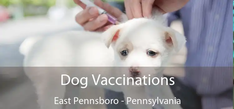 Dog Vaccinations East Pennsboro - Pennsylvania