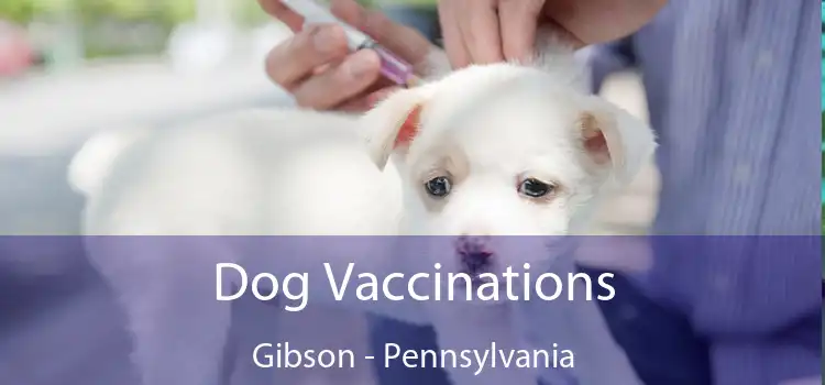 Dog Vaccinations Gibson - Pennsylvania