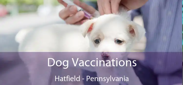 Dog Vaccinations Hatfield - Pennsylvania