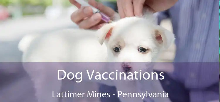 Dog Vaccinations Lattimer Mines - Pennsylvania