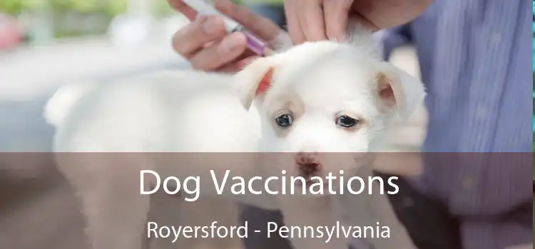 Dog Vaccinations Royersford - Pennsylvania