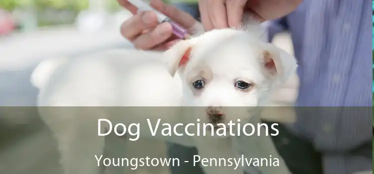 Dog Vaccinations Youngstown - Pennsylvania