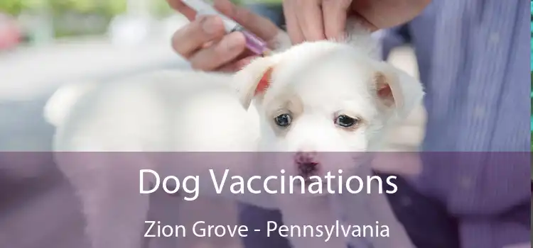 Dog Vaccinations Zion Grove - Pennsylvania