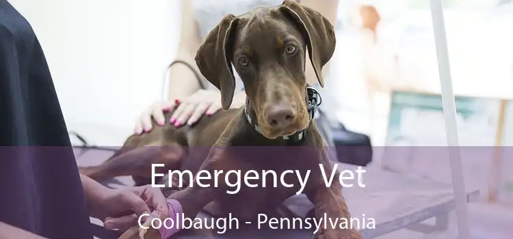 Emergency Vet Coolbaugh - Pennsylvania