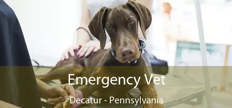 Emergency Vet Decatur - Pennsylvania