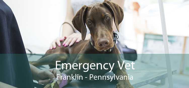 Emergency Vet Franklin - 24 Hour Emergency Vet Near Me