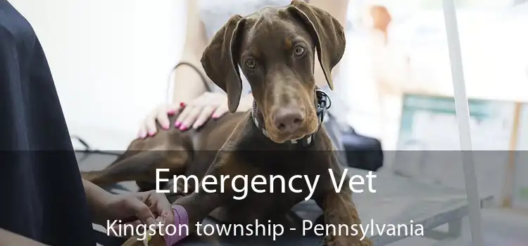 Emergency Vet Kingston township - Pennsylvania