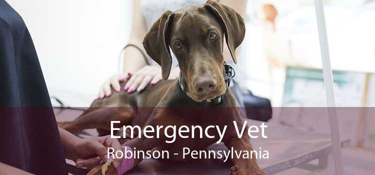 Emergency Vet Robinson - 24 Hour Emergency Vet Near Me