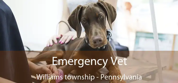 Emergency Vet Williams township - Pennsylvania