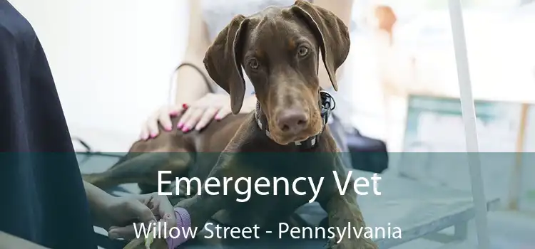 Emergency Vet Willow Street - Pennsylvania