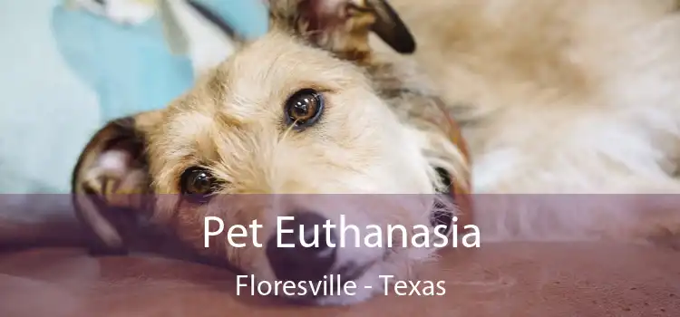 Pet Euthanasia Floresville - Texas