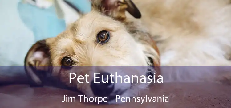 Pet Euthanasia Jim Thorpe - Pennsylvania