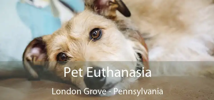 Pet Euthanasia London Grove - Pennsylvania