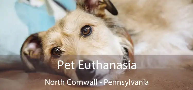 Pet Euthanasia North Cornwall - Pennsylvania