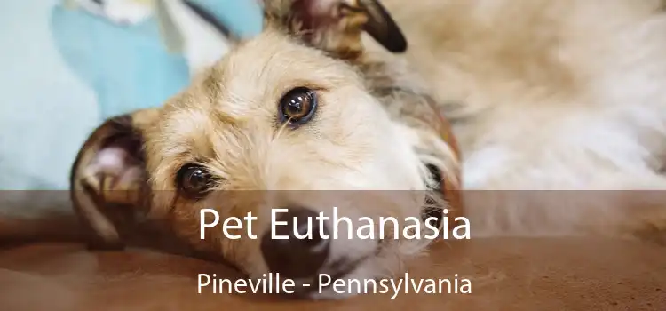 Pet Euthanasia Pineville - Pennsylvania