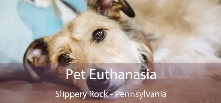 Pet Euthanasia Slippery Rock - Pennsylvania