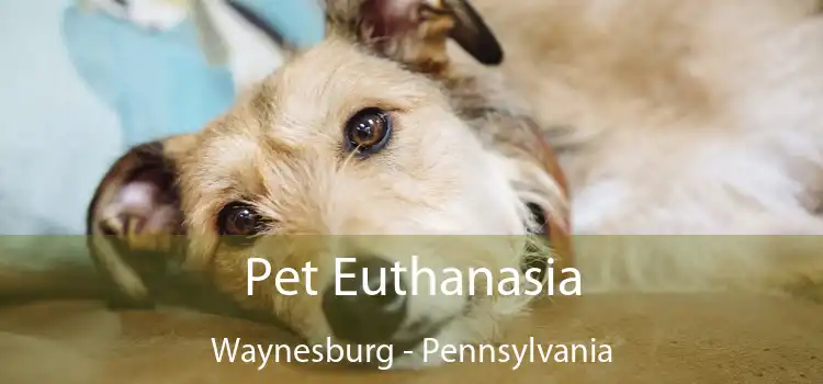 Pet Euthanasia Waynesburg - Pennsylvania