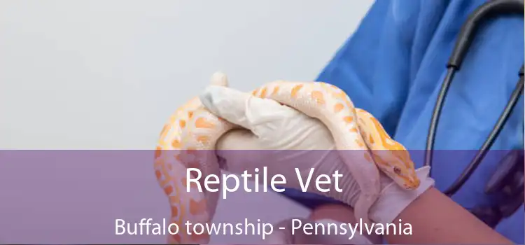 Reptile Vet Buffalo township - Pennsylvania