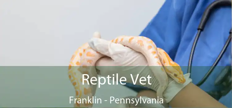 Reptile Vet Franklin - Pennsylvania