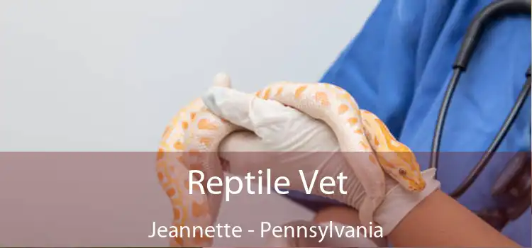 Reptile Vet Jeannette - Pennsylvania