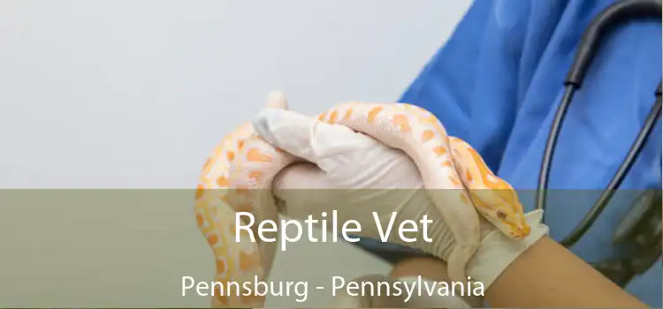 Reptile Vet Pennsburg - Pennsylvania