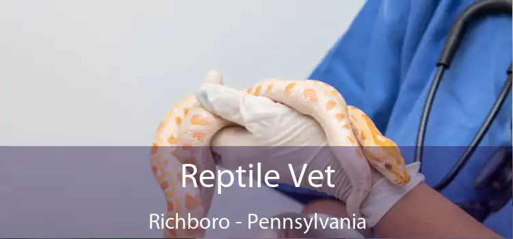 Reptile Vet Richboro - Pennsylvania