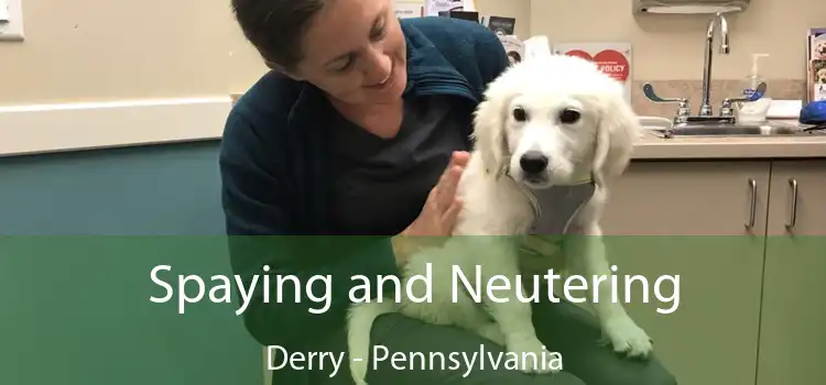 Spaying and Neutering Derry - Pennsylvania