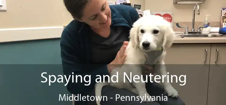 Spaying and Neutering Middletown - Pennsylvania