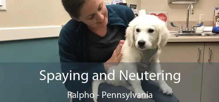 Spaying and Neutering Ralpho - Pennsylvania