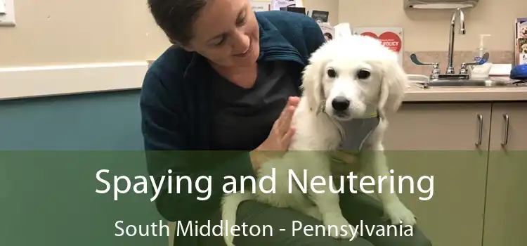 Spaying and Neutering South Middleton - Pennsylvania