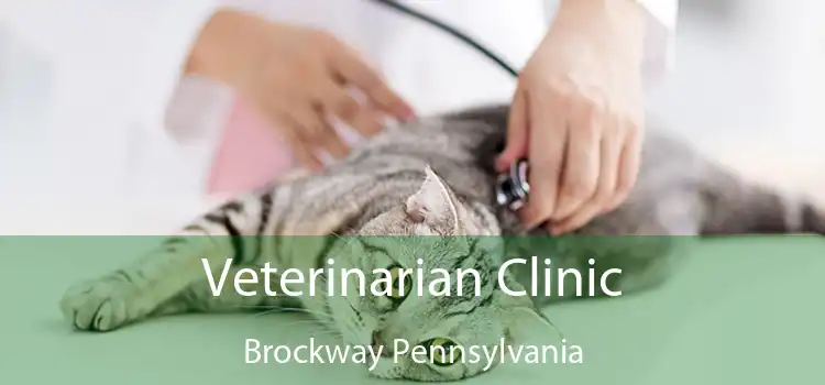 Veterinarian Clinic Brockway Pennsylvania