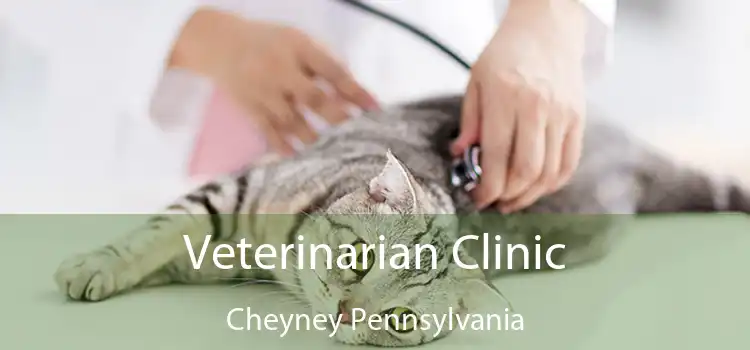 Veterinarian Clinic Cheyney Pennsylvania