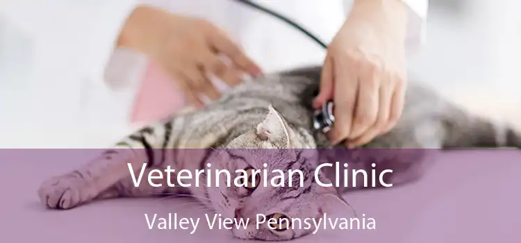 Veterinarian Clinic Valley View Pennsylvania