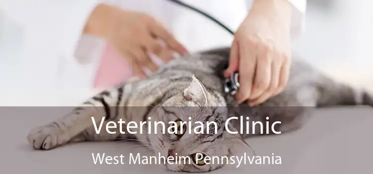 Veterinarian Clinic West Manheim Pennsylvania